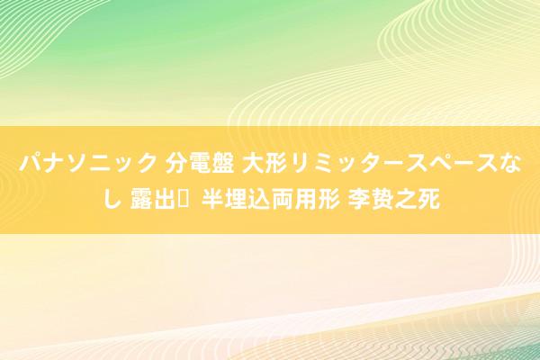 パナソニック 分電盤 大形リミッタースペースなし 露出・半埋込両用形 李贽之死