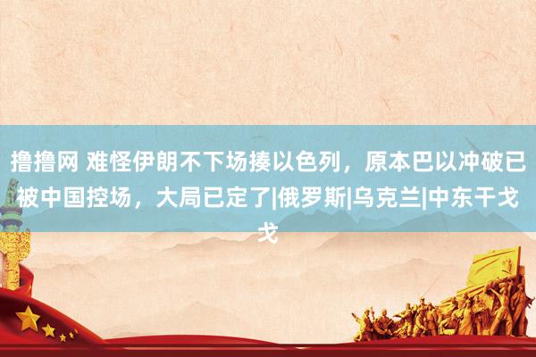 撸撸网 难怪伊朗不下场揍以色列,原本巴以冲破已被中国控场,大局已定了|俄罗斯|乌克兰|中东干戈