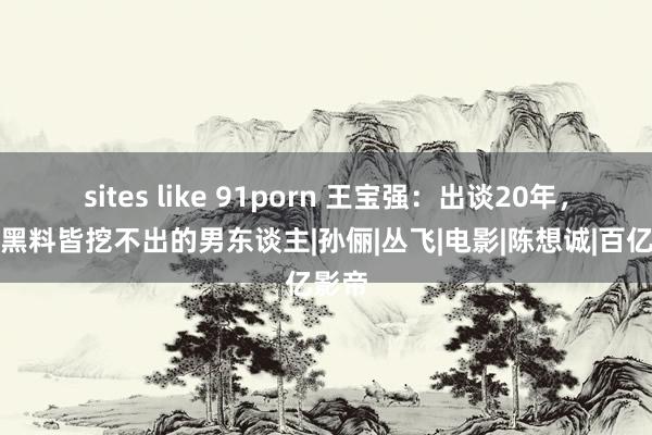 sites like 91porn 王宝强:出谈20年,一个黑料皆挖不出的男东谈主|孙俪|丛飞|电影|陈想诚|百亿影帝