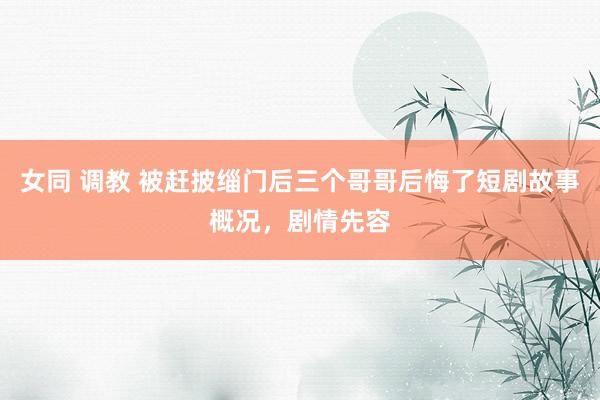 女同 调教 被赶披缁门后三个哥哥后悔了短剧故事概况,剧情先容