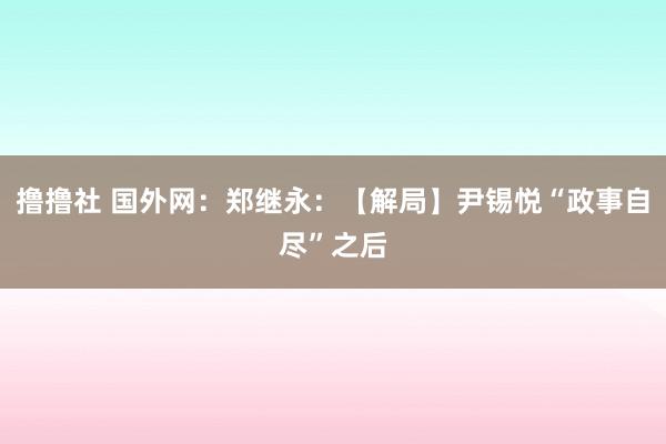 撸撸社 国外网：郑继永：【解局】尹锡悦“政事自尽”之后