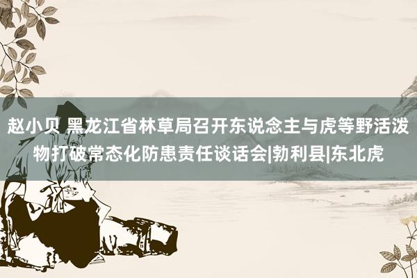 赵小贝 黑龙江省林草局召开东说念主与虎等野活泼物打破常态化防患责任谈话会|勃利县|东北虎