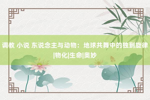 调教 小说 东说念主与动物:地球共舞中的独到旋律|物化|生命|奥妙