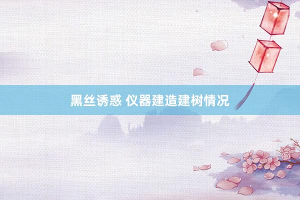 黑丝诱惑 仪器建造建树情况