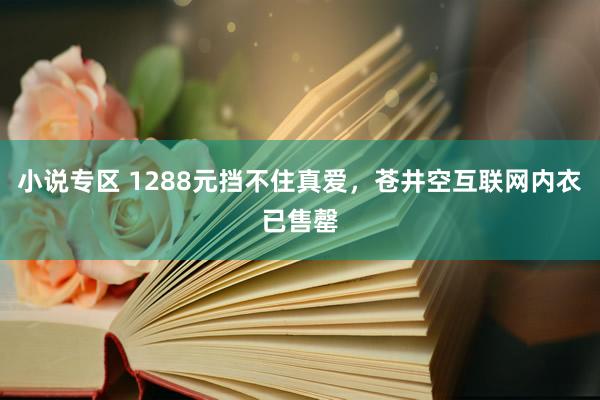 小说专区 1288元挡不住真爱，苍井空互联网内衣已售罄