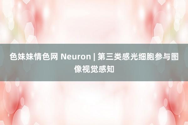 色妹妹情色网 Neuron | 第三类感光细胞参与图像视觉感知