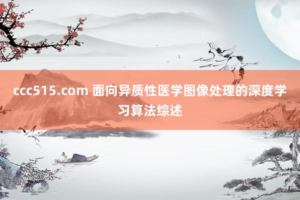 ccc515.com 面向异质性医学图像处理的深度学习算法综述