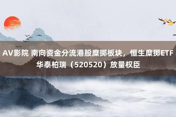 AV影院 南向资金分流港股糜掷板块，恒生糜掷ETF华泰柏瑞（520520）放量权臣