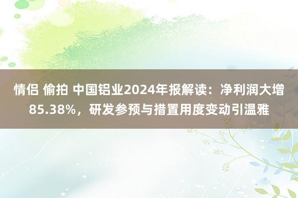 情侣 偷拍 中国铝业2024年报解读：净利润大增85.38%，研发参预与措置用度变动引温雅