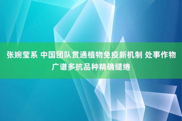 张婉莹系 中国团队贯通植物免疫新机制 处事作物广谱多抗品种精确缱绻