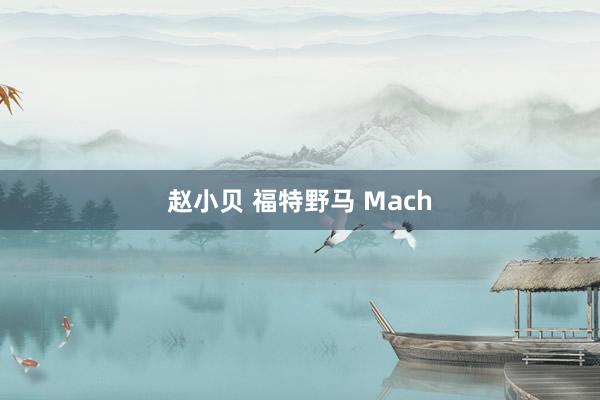 赵小贝 福特野马 Mach