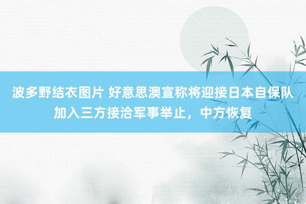 波多野结衣图片 好意思澳宣称将迎接日本自保队加入三方接洽军事举止，中方恢复