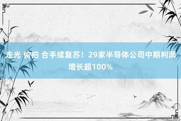 走光 偷拍 合手续复苏！29家半导体公司中期利润增长超100%