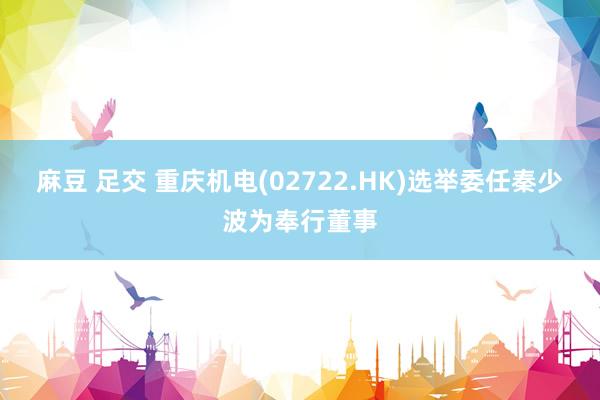 麻豆 足交 重庆机电(02722.HK)选举委任秦少波为奉行董事