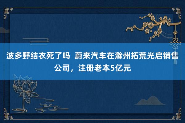 波多野结衣死了吗 蔚来汽车在滁州拓荒光启销售公司,注册老本5亿元