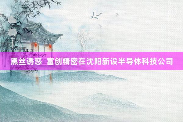 黑丝诱惑 富创精密在沈阳新设半导体科技公司