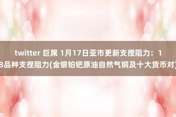 twitter 巨屌 1月17日亚市更新支捏阻力:18品种支捏阻力(金银铂钯原油自然气铜及十大货币对)
