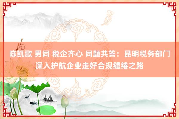 陈凯歌 男同 税企齐心 同题共答：昆明税务部门深入护航企业走好合规缱绻之路