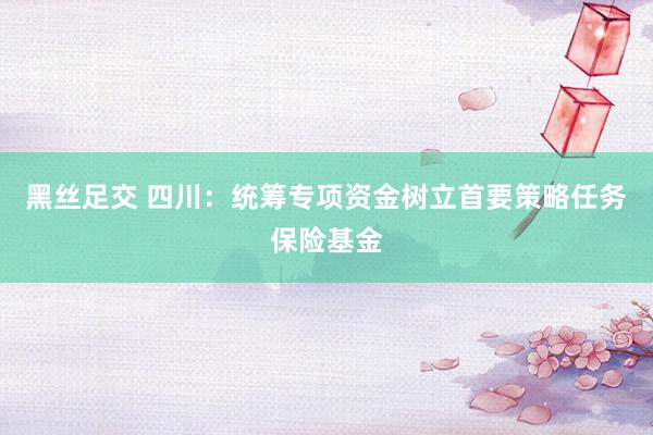 黑丝足交 四川:统筹专项资金树立首要策略任务保险基金